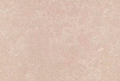 Procyonstone 875 Linen - изображение