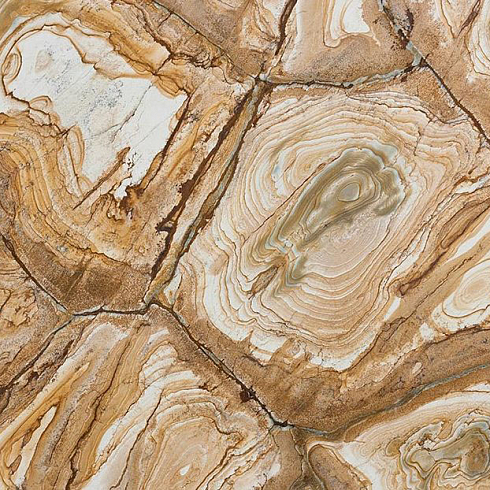 Гранит Стоун Вуд / Stone Wood (кварцит) - изображение
