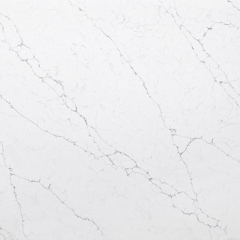 Asterum 3103 Leonardo - изображение