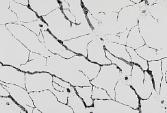 IDS 6033W Calacata Viana - изображение