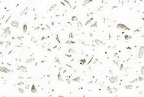 Akrilika M611 Oleander - изображение