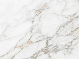 Avant Quartz 5754 Калакатта Вивье - изображение