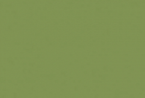 Corian Blooming Green - изображение
