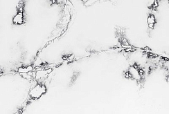 Compac Ice Ink - изображение