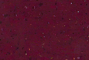 Tristone ST-202 Red Carpet - изображение