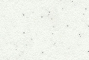 Akrilika A313 Frosty White - изображение
