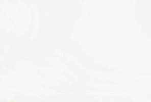 Smartquartz Moon White - изображение