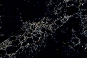 Caesarstone 5100 Vanilla Noir - изображение